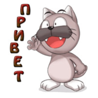 Кот Ромео