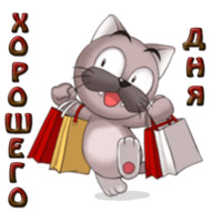 Кот Ромео