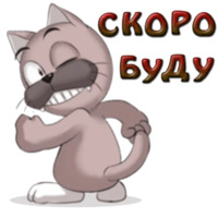 Кот Ромео