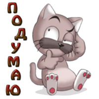 Кот Ромео