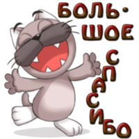 Кот Ромео