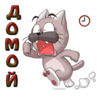 Кот Ромео