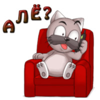 Кот Ромео