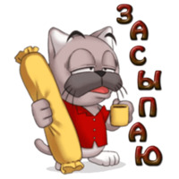 Кот Ромео