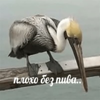 Лобстер