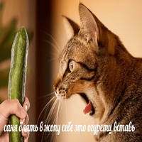Лобстер