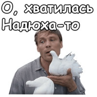 Любовь и голуби