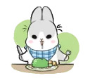Machiko rabbit