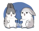 Machiko rabbit