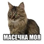 МАМА ОТЛИЧНИКА