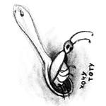 mamatarakan