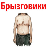 Типы Мужских сисек