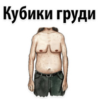 Типы Мужских сисек