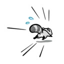 mapachin y perezosin