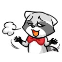 mapachin y perezosin