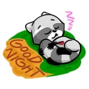 mapachin y perezosin