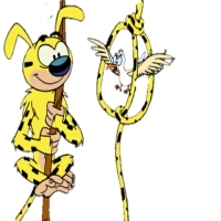 Marsupilami