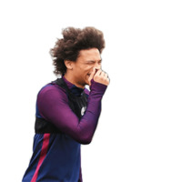 Манчестер Сити