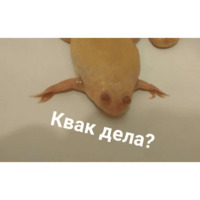 Мемасики