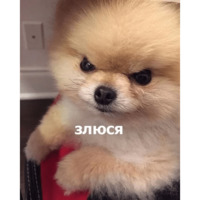 Мемасики