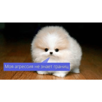 Мемасики