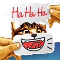 Кот Мем