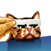 Кот Мем