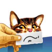 Кот Мем