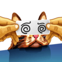Кот Мем