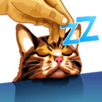 Кот Мем