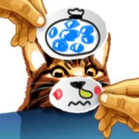 Кот Мем