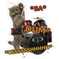 Котики-мемы