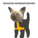 Мемный Вентиль, Хух
