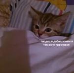мєми про жівотних 2.0