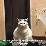 мєми про жівотних 2.0