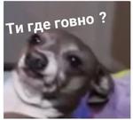 мєми про жівотних 2.0