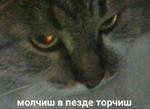 мєми про жівотних 2.0