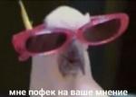 мєми про жівотних 2.0
