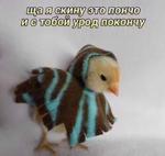 мєми про жівотних 2.0