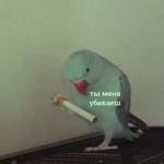 мєми про жівотних 2.0