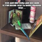 мєми про жівотних 2.0