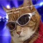 мєми про жівотних 2.0