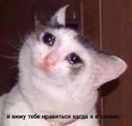 мєми про жівотних 2.0