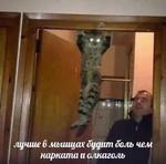 мєми про жівотних 2.0