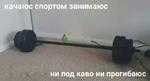 мєми про жівотних 2.0