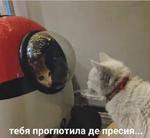 мєми про жівотних 2.0