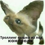 мєми про жівотних 2.0