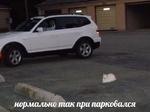 мєми про жівотних 2.0
