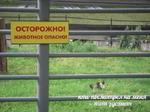 мєми про жівотних 2.0
