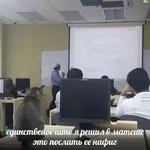 мєми про жівотних 2.0